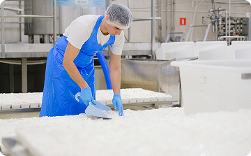 Industria Alimenticia
