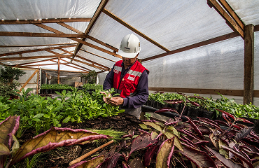 Agroindustria