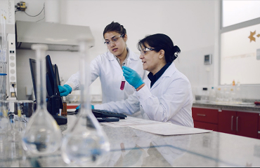 Industria Química
